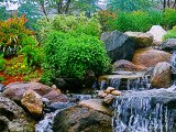 Альпийские мотивы на вашем участке